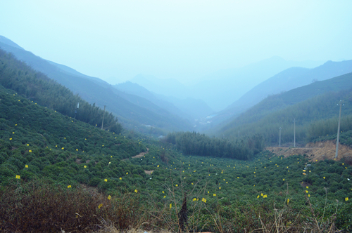 我院順利完成河南省信陽市馬家畈村鄉(xiāng)村旅游總體規(guī)劃項目考察